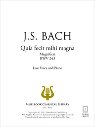 Quia fecit mihi magna